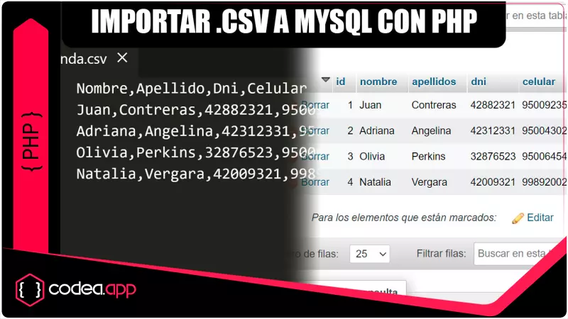 Importar un Archivo CSV a una BD en PHP